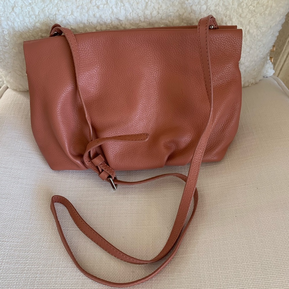 Zara Pooch Purse